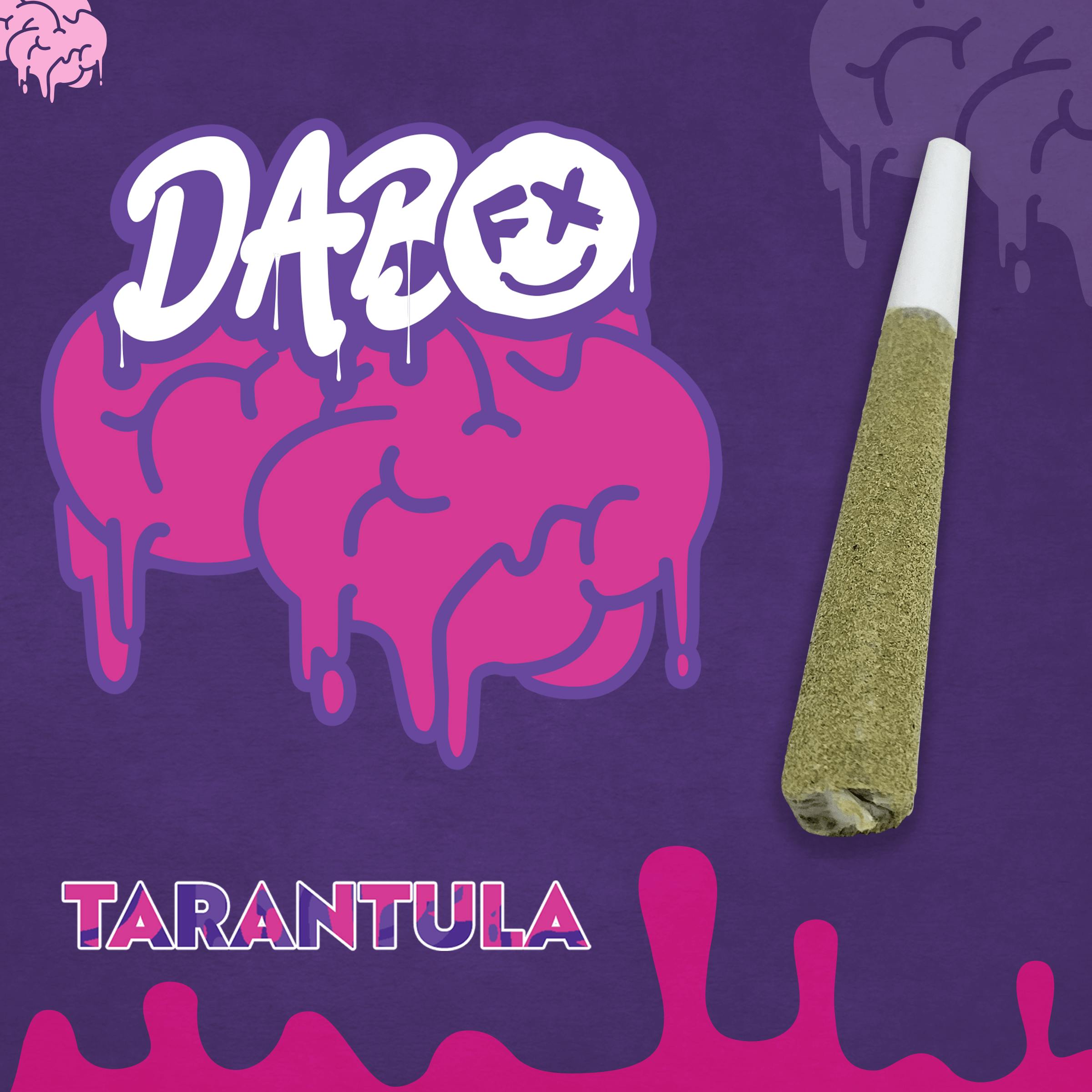 Tarantula Infused Preroll - Mango Rush (H)