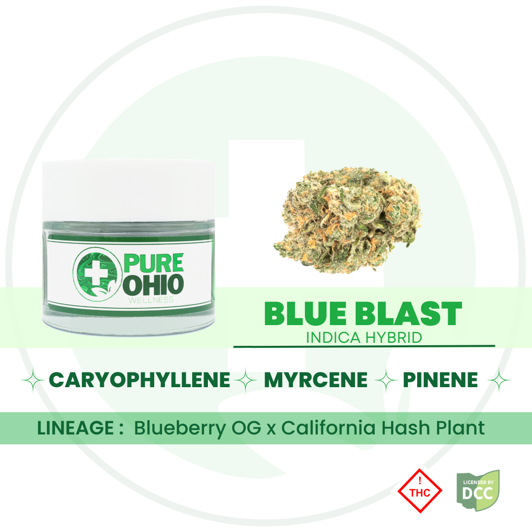 Blue Blast - (Indica Hybrid) - 2.83g - POW