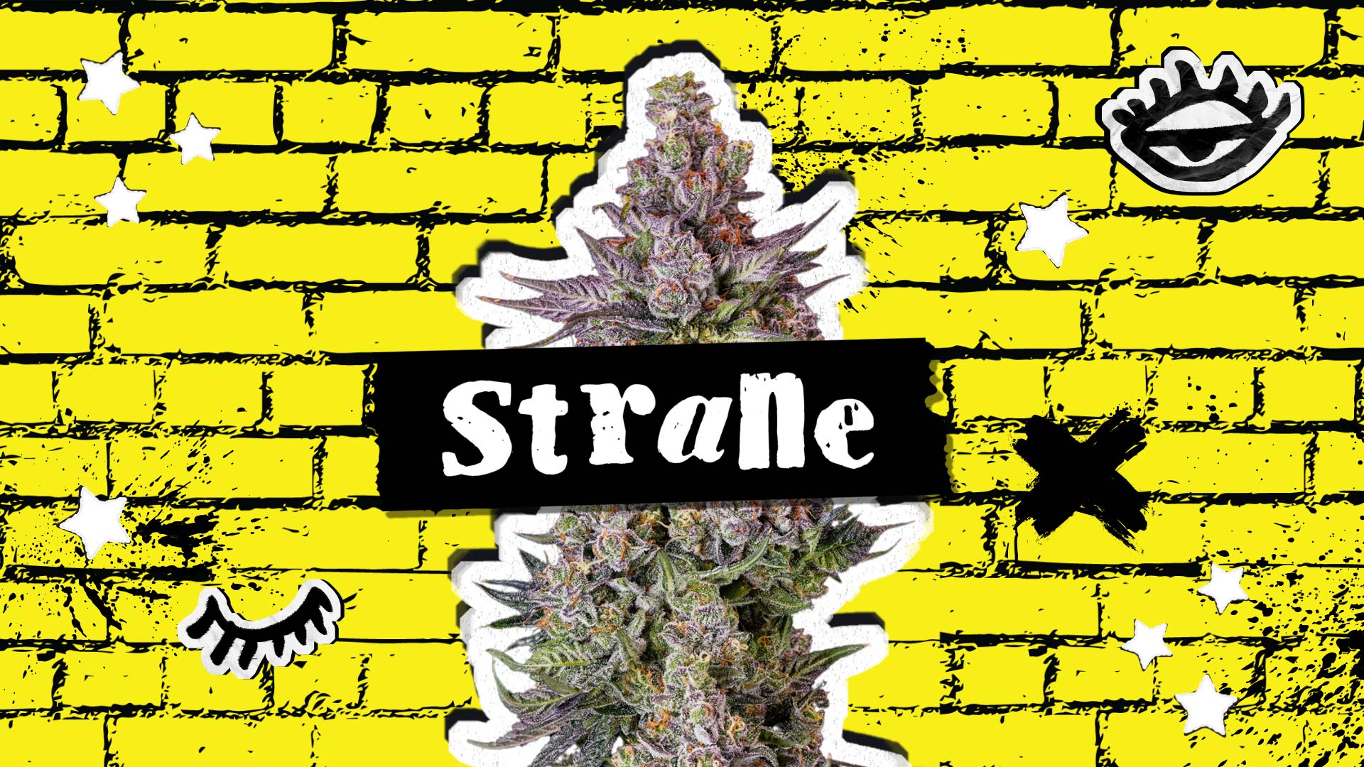 Strane Alien Mints Live Rosin 1.0g
