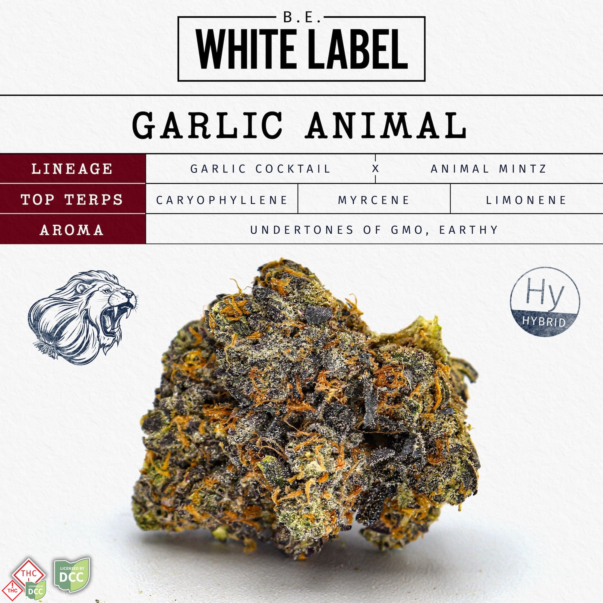 Garlic Animal