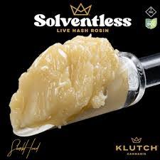 Donny Solo Burger Live Rosin