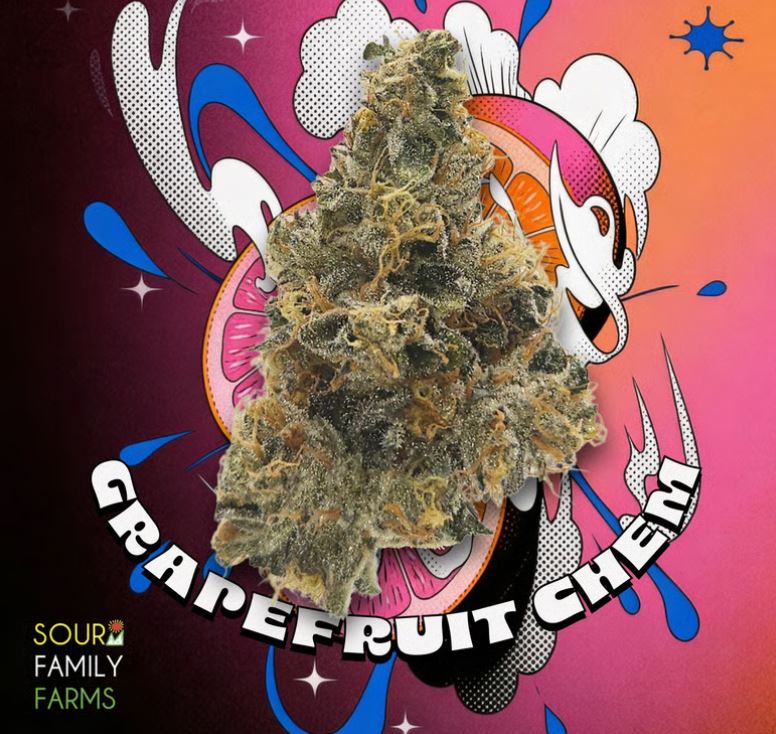 Sour Family Farms | Flower | Grapefruit Chem | 3.5g