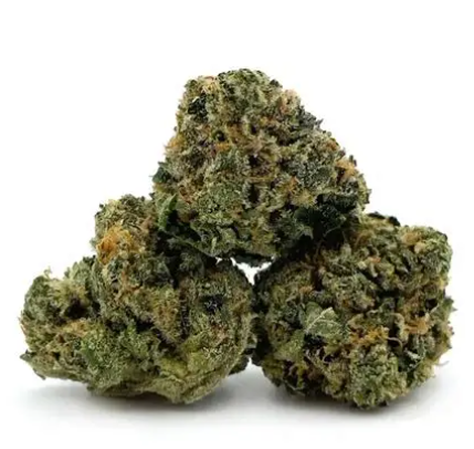 Slurricane  5pk Infused