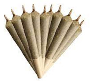 Preroll Sherb Cream Pie/9lb Hammer