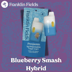 FRANKLIN FIELDS PENJAMIN | 1G LIVE RESIN DISPOSABLE | BLUEBERRY SMASH