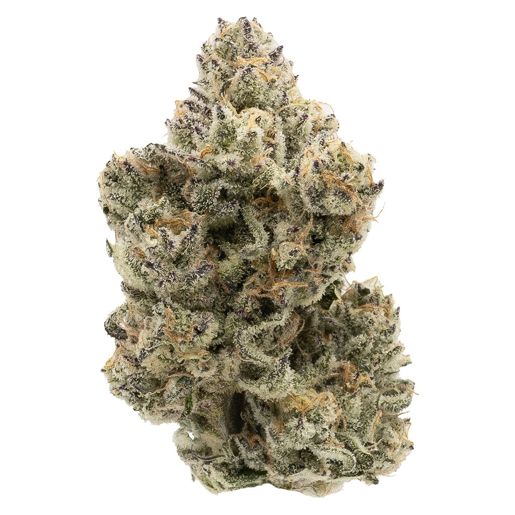 Northern Canna - The Collective Oz (Velvet Skies) - Indica