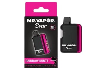 Mr. Vapor | Rainbow Runtz 3g Disposable