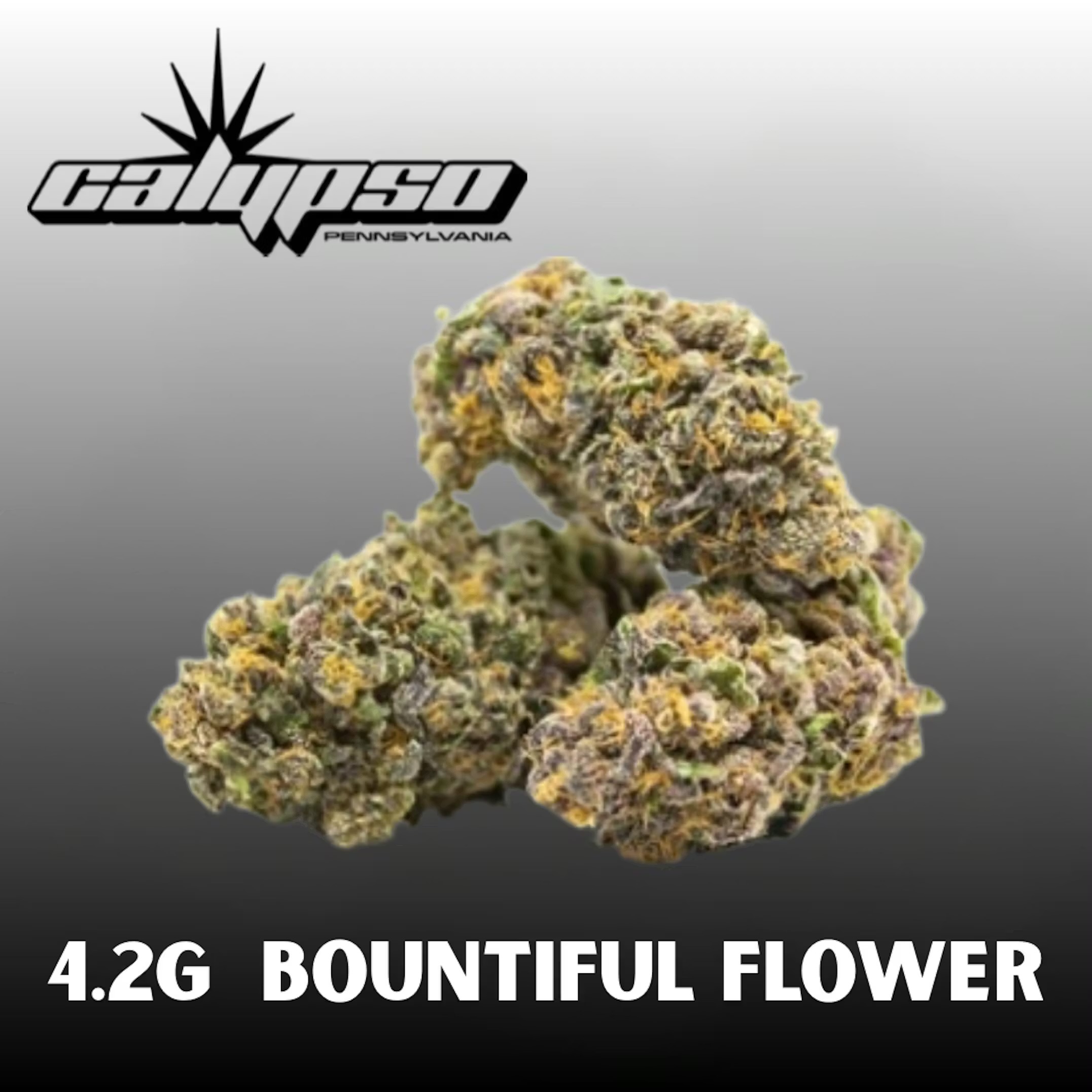 Heavy Duty Fruity Flower: 4.2g