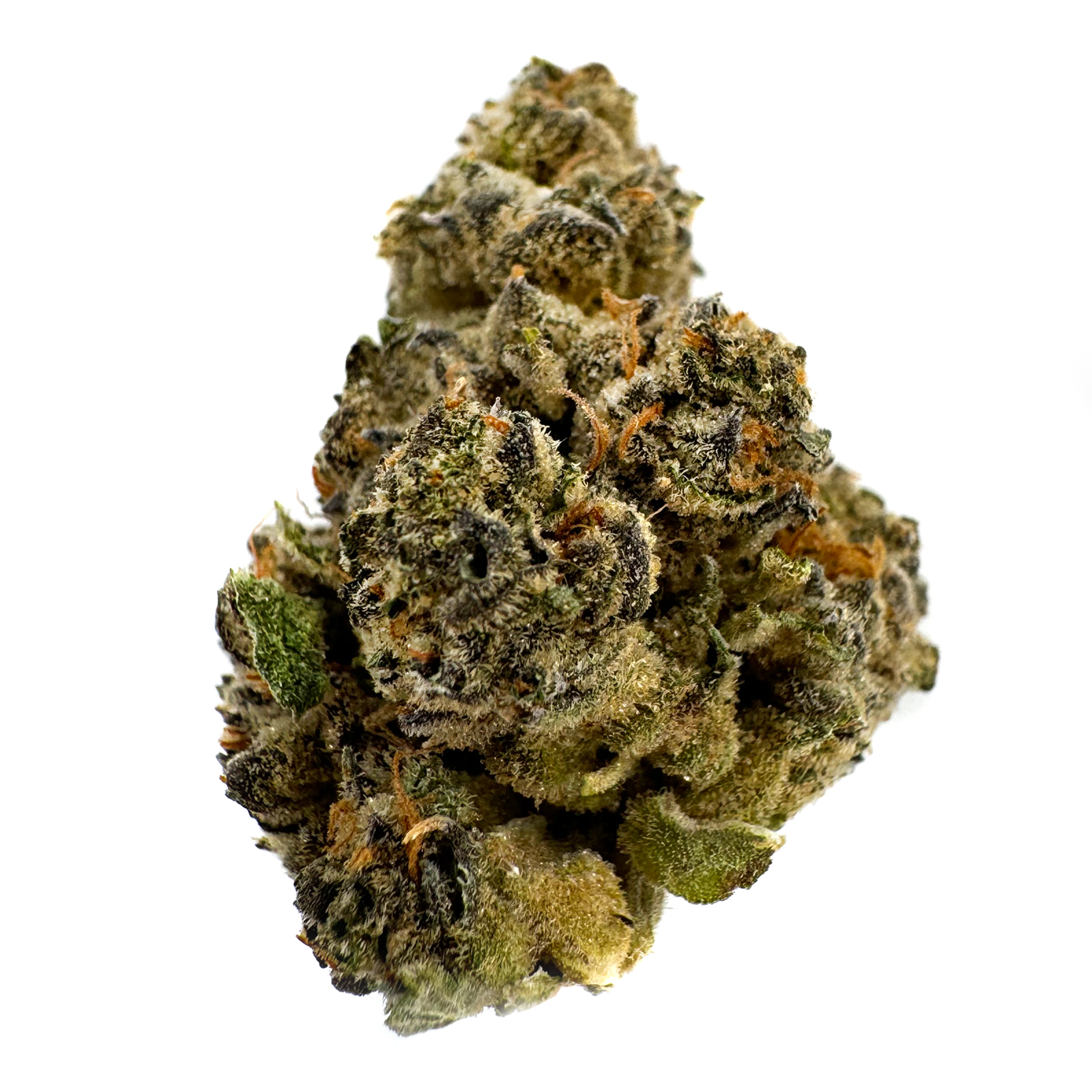 Gelato Z Rec