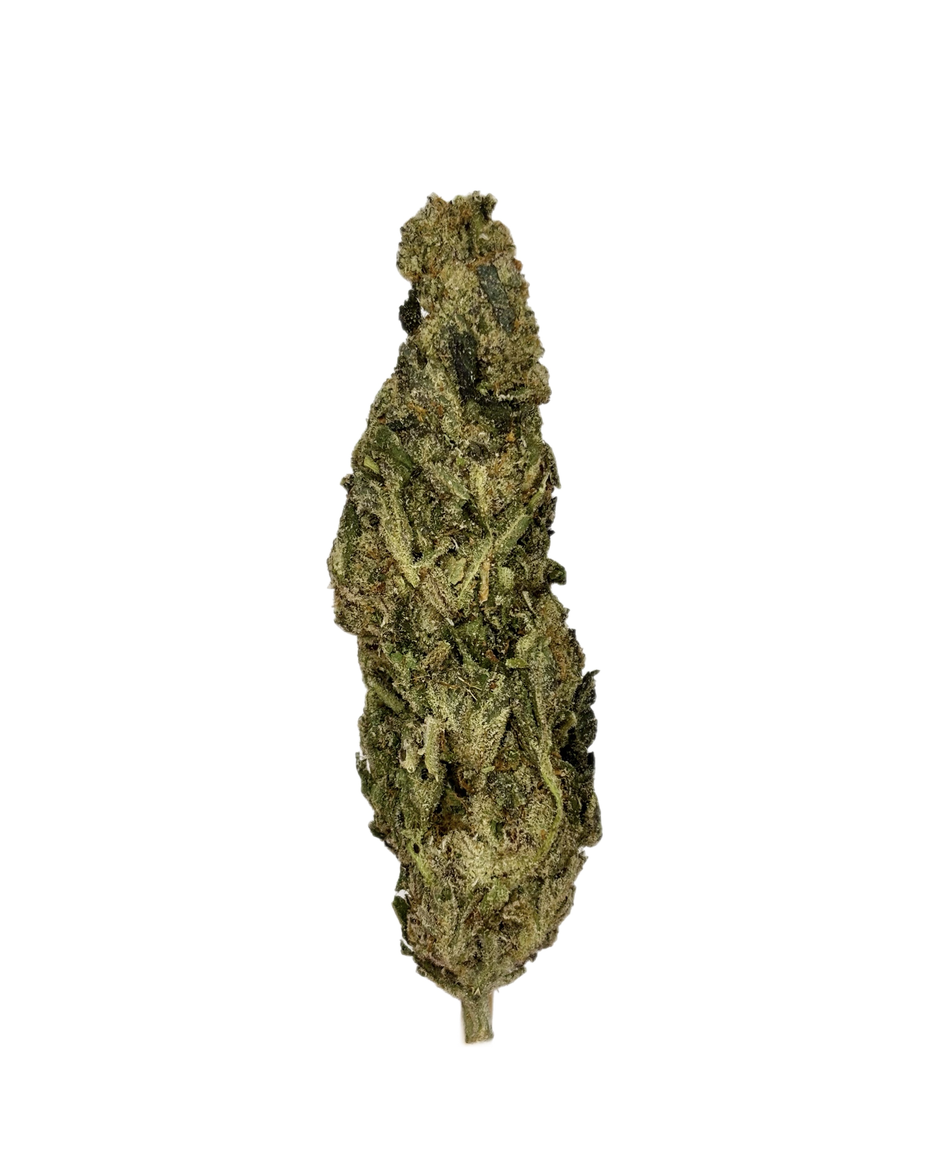 Artic | Bulk Flower | White Tier