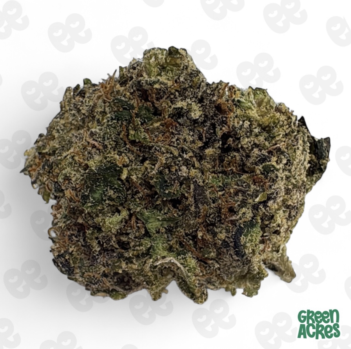 (H) Local Grove: Alpha Runtz (H)