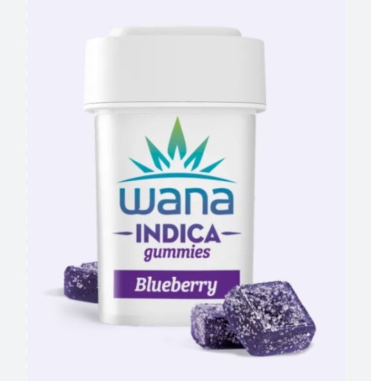 Blueberry Indica | Classic Gummies | 10pk | 100mg
