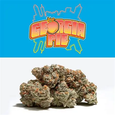 C-Bite Georgia Pie Flower (REC)