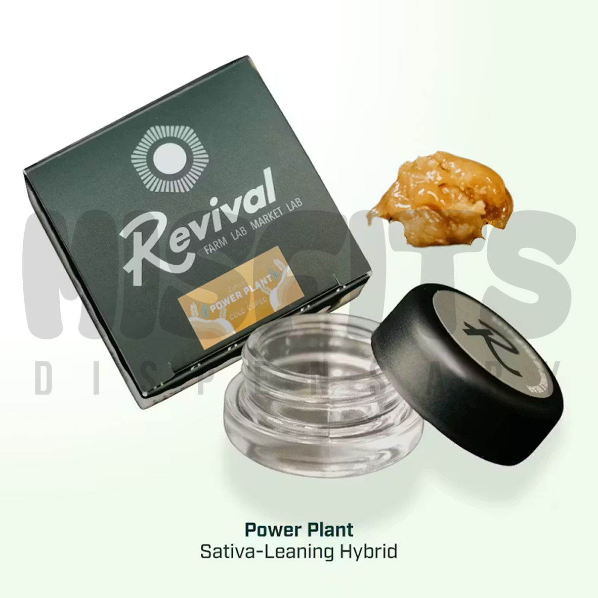 Power Plant Cold Cure Live