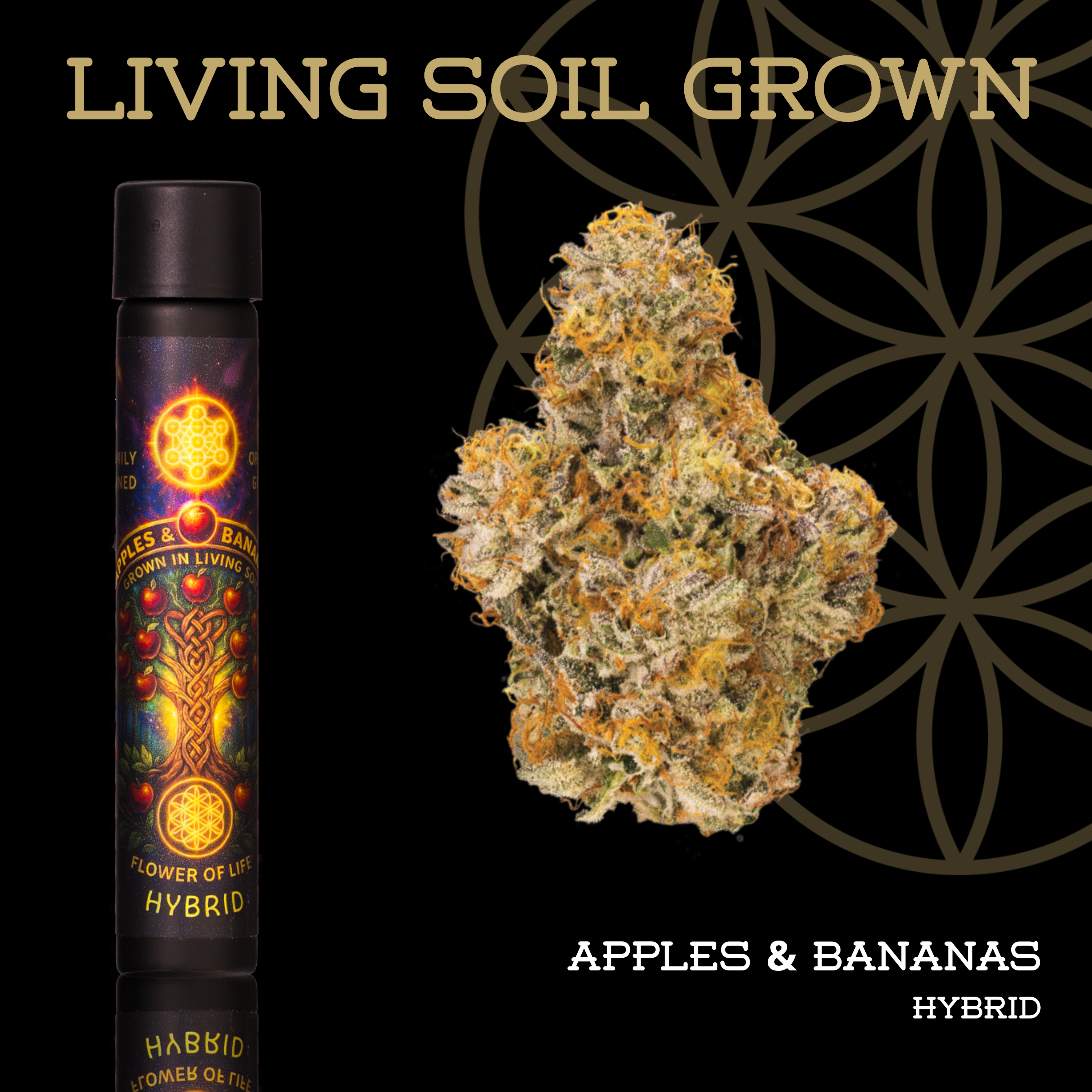 Flower of Life | Living Soil | Apples & Bananas | Pre-Roll | 1g