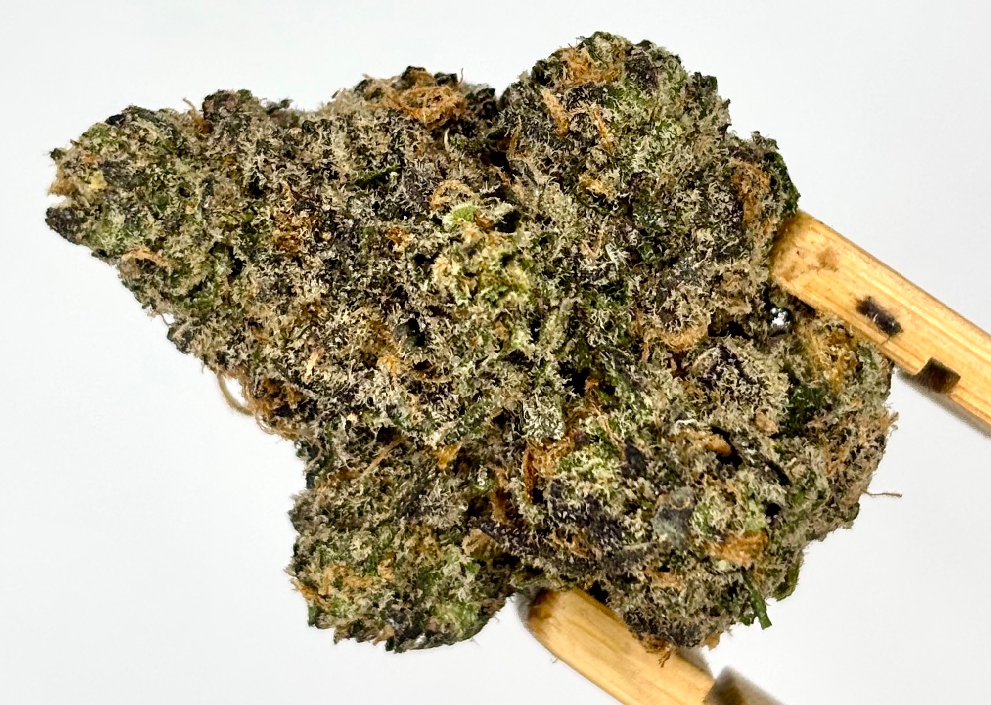 DogHouse | Candy Cartel | Bulk Flower | Platinum Tier