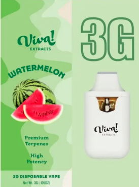 Viva - Watermelon Disposable