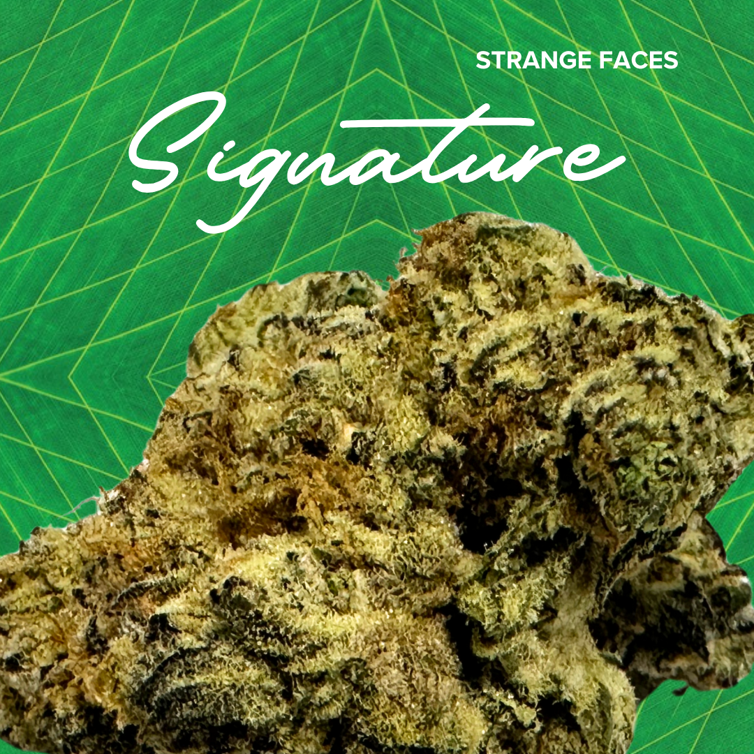 Signature 3.5g Terpee Burger