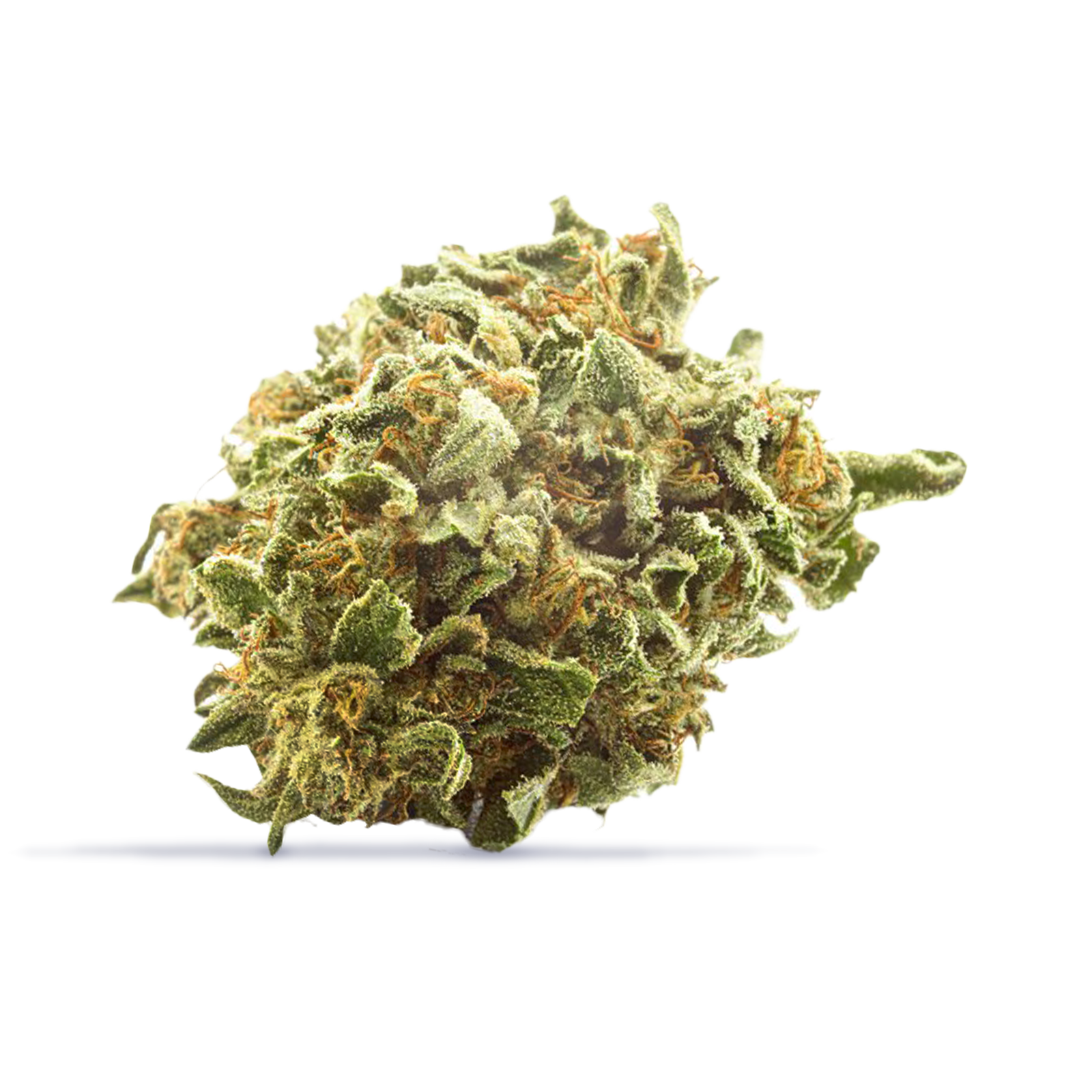 Zookies