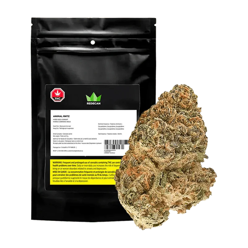 Redecan : Animal RNTZ