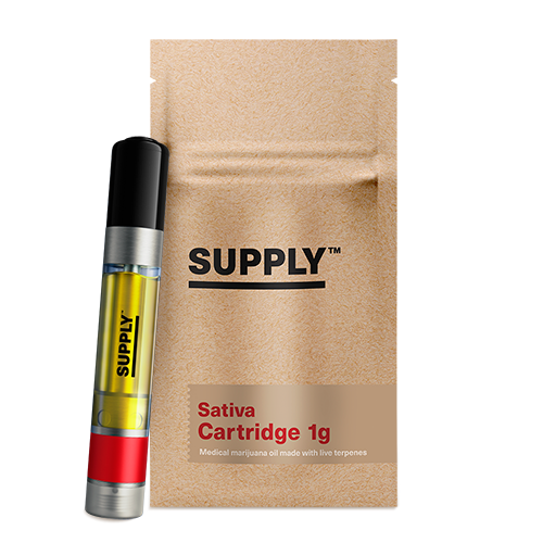 Blazin Sunny Train Distillate Cartridge: 1g
