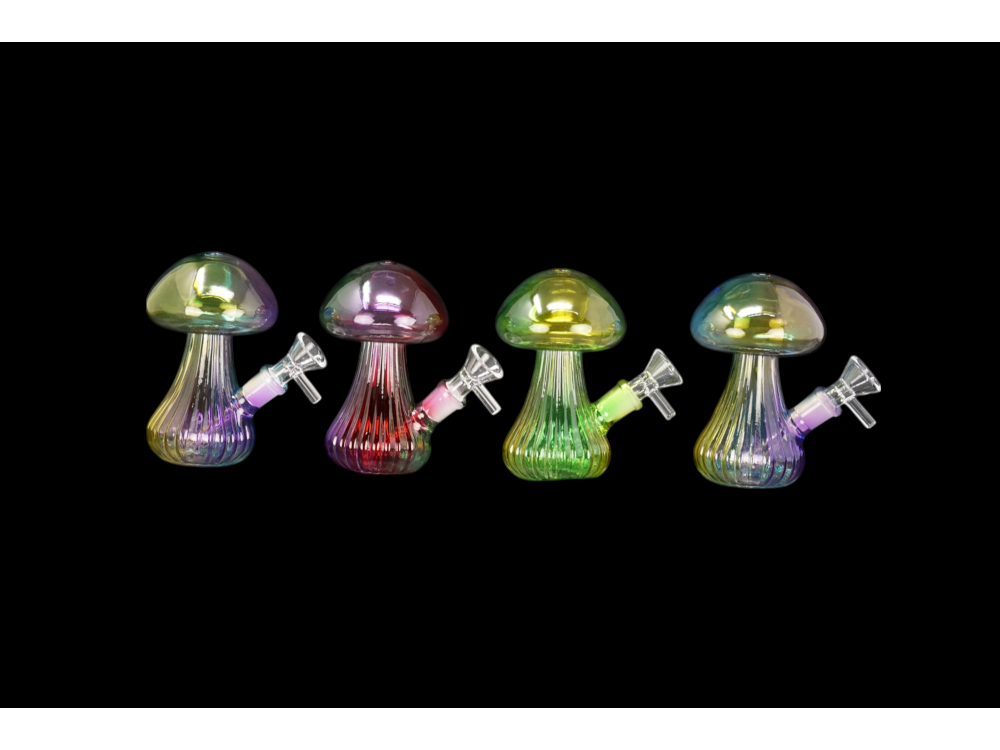 Glass Mushroom Bong