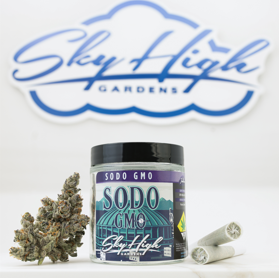 SoDo GMO