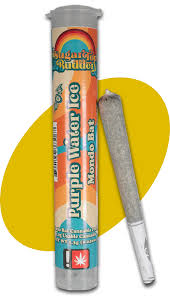 SUGARTOP | MONDO BAT | REIGN MAN