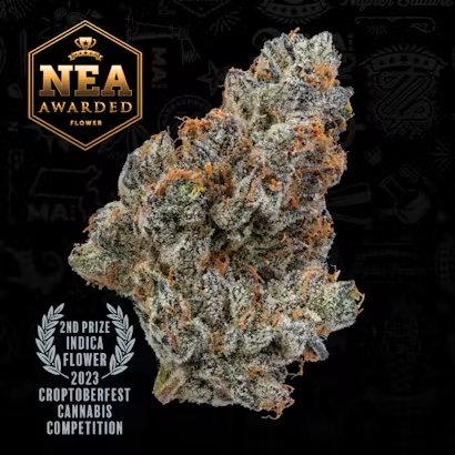 Nea Awarded Grease Monkey