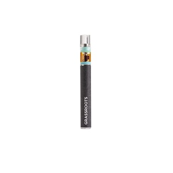 Black Cherry Maduro | Distillate Disposable | 300mg