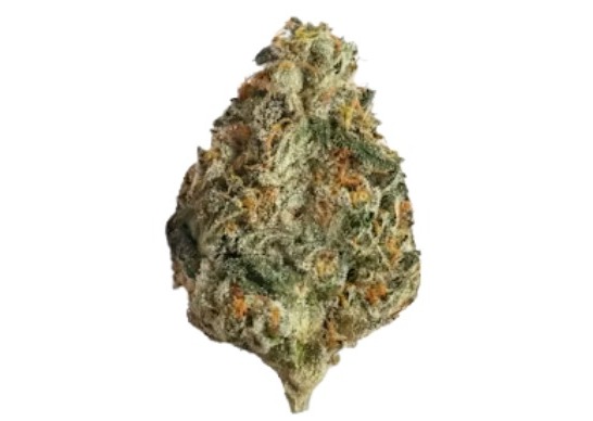 BC Bounty