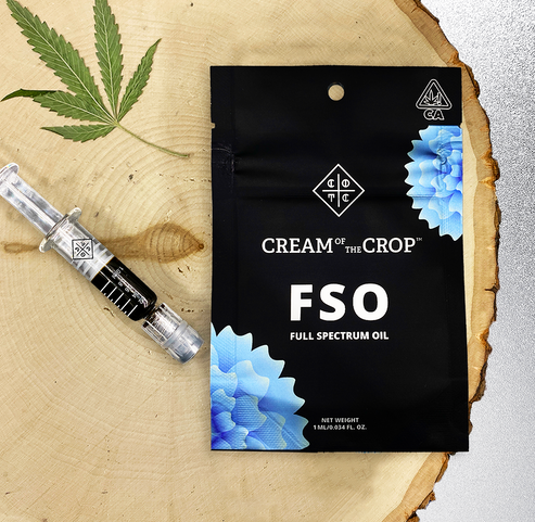 Fso