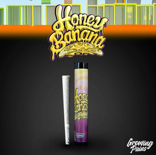 Growing Pains - Honey Banana - 1g Preroll