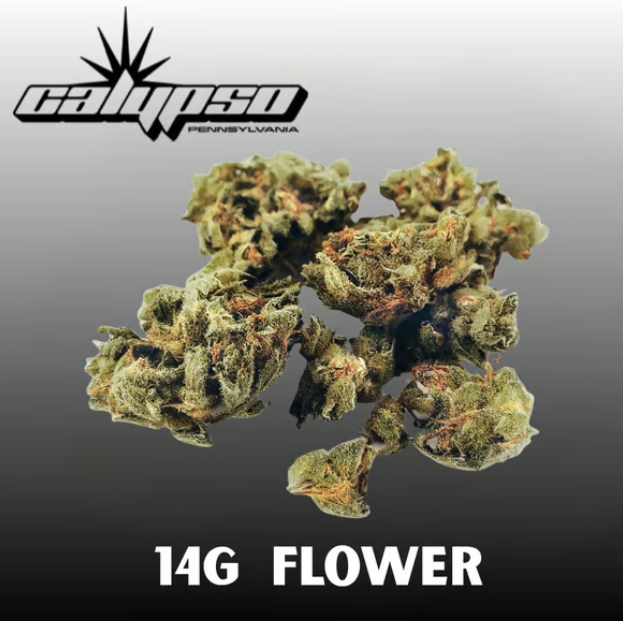 Sherbie The Love Nug Smalls | 14g