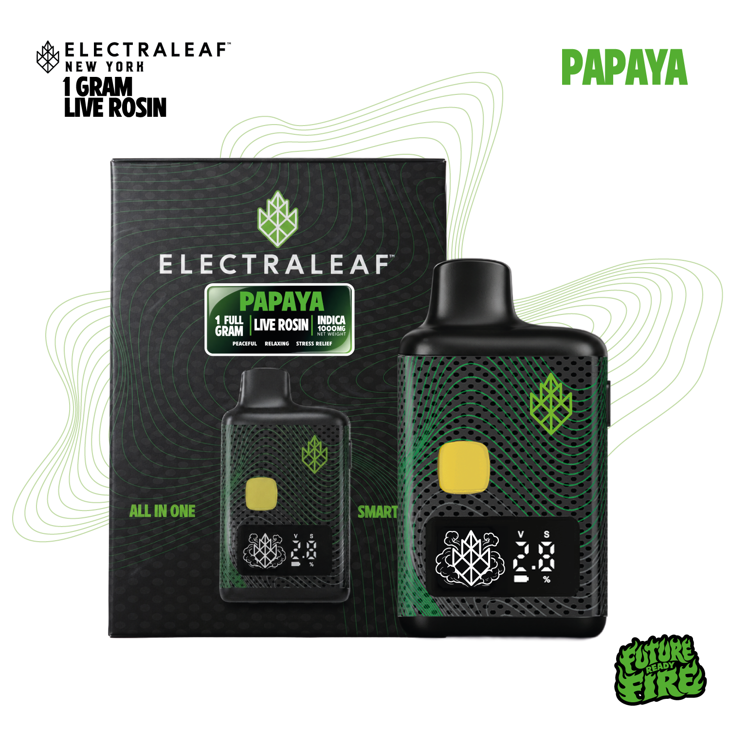 Papaya