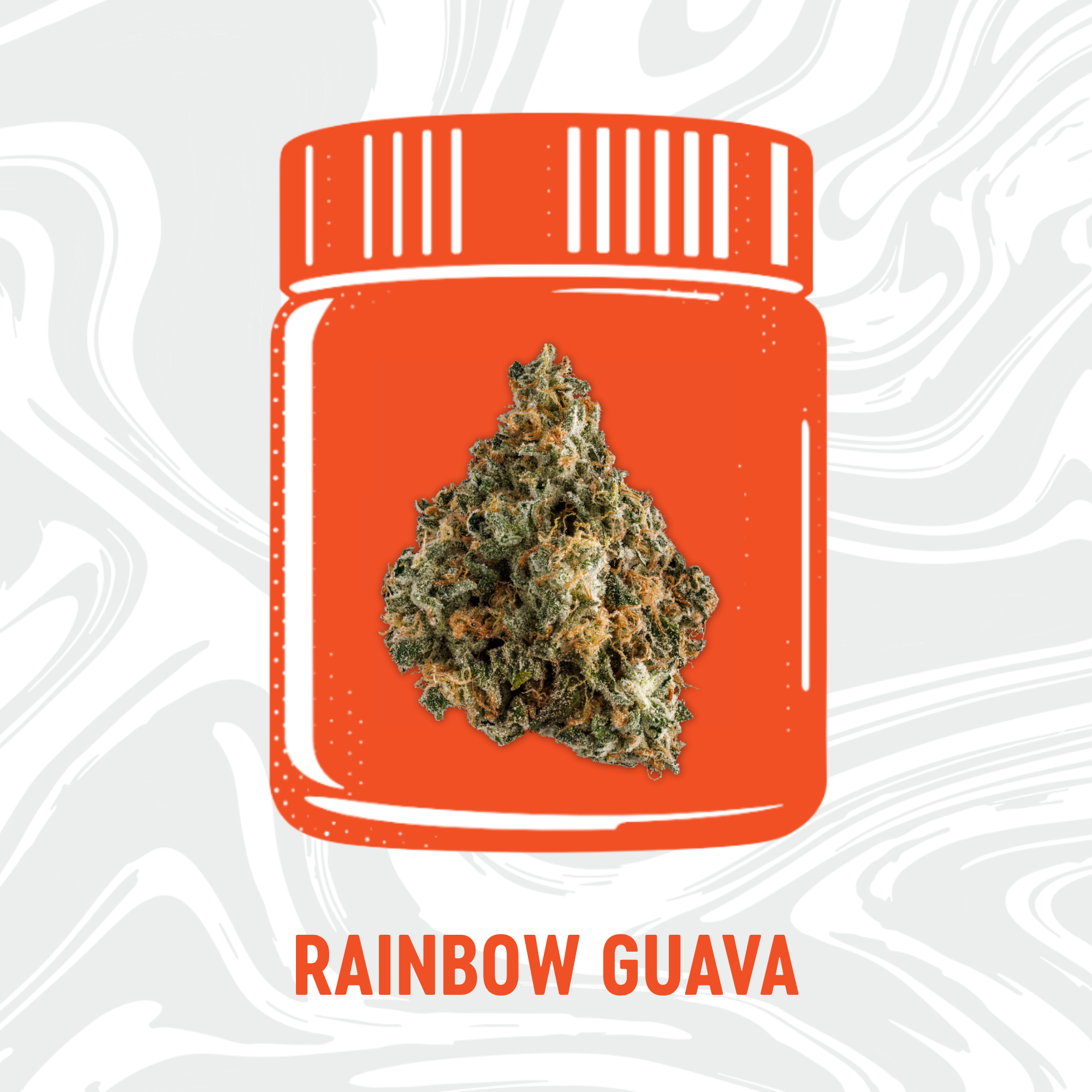 Rainbow Guava