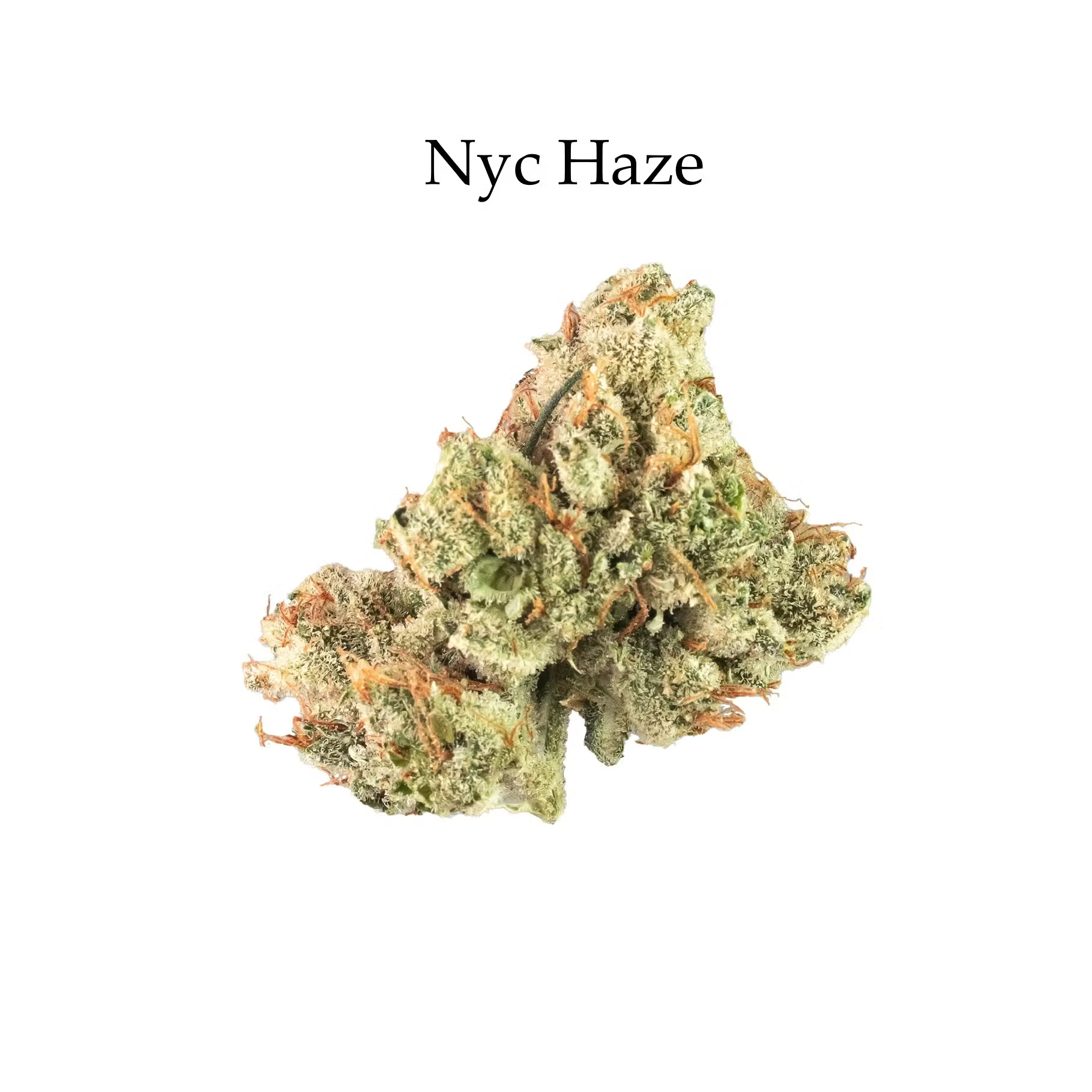 Fela's NYC Haze