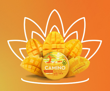 Camino Gummies Mango Serenity CBD 1:1