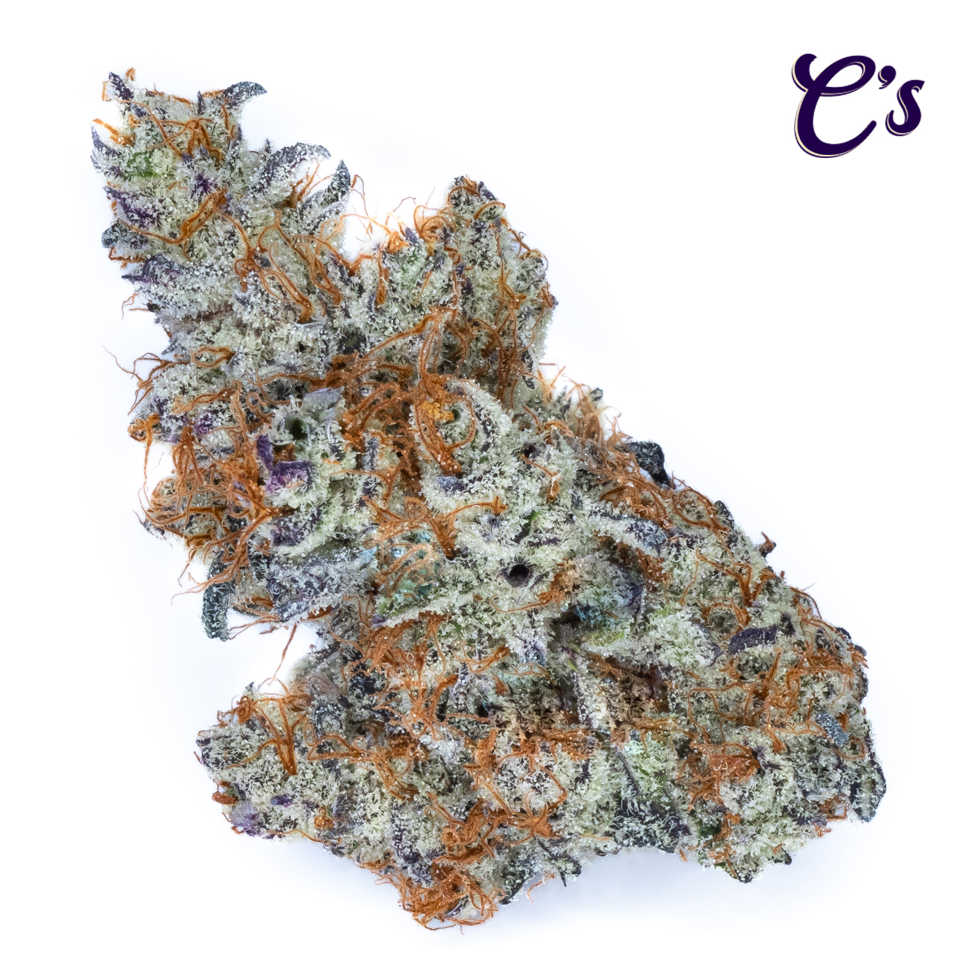 Y8 Bud