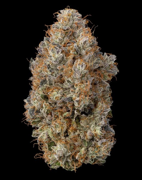 Diesel Delight