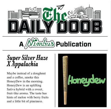 The Daily Doob - Honeydew | Preroll