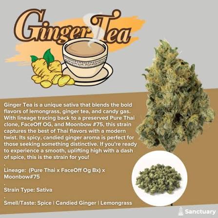 Ginger Tea