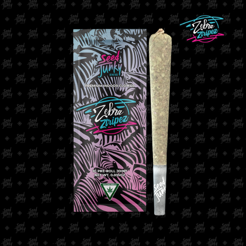 Zebra Ztripez | 1G Preroll