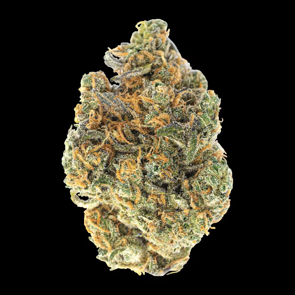 GANS | CHERRY FUEGO | BULK | HYBRID