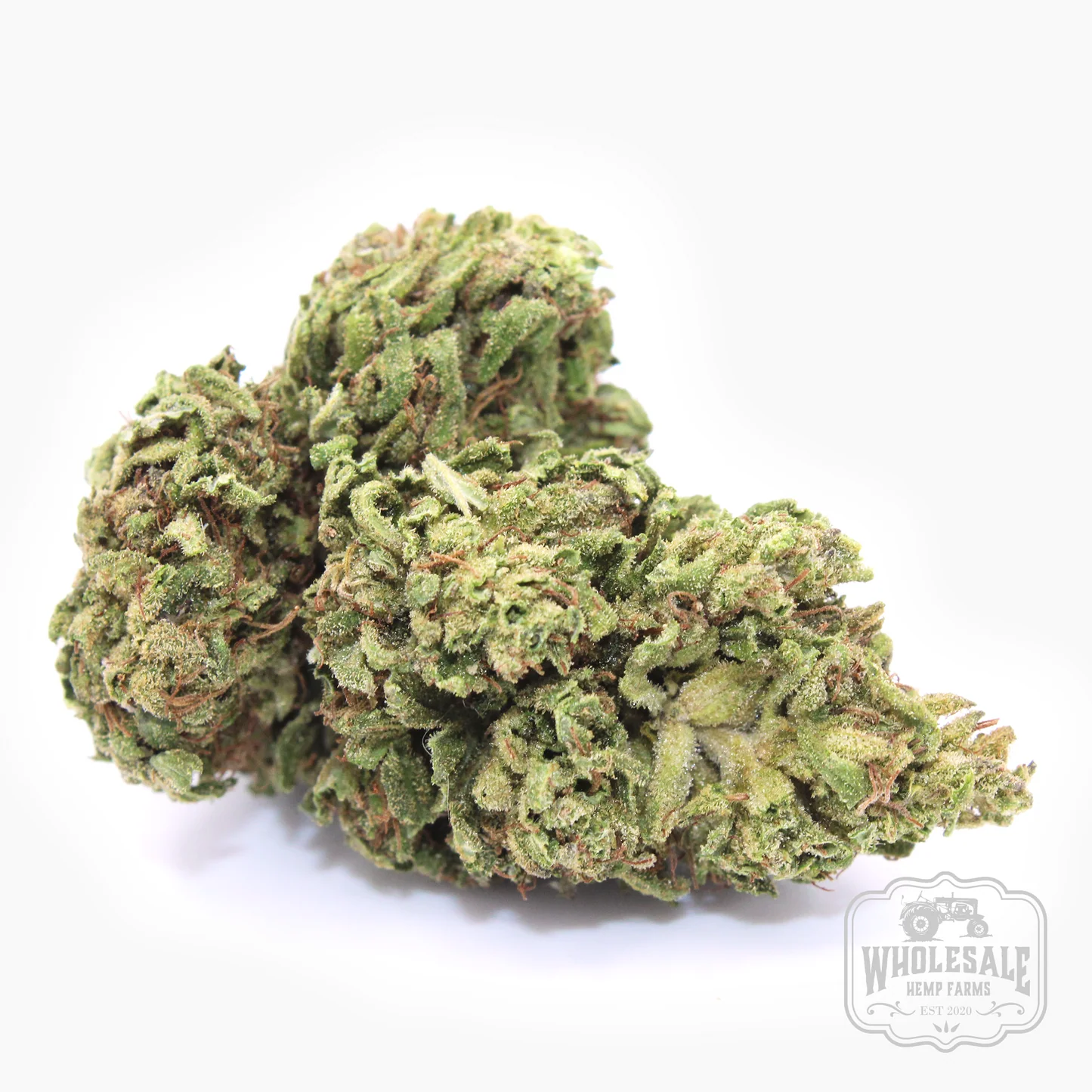 Coastal Haze Flower - 28g in Delta Junction