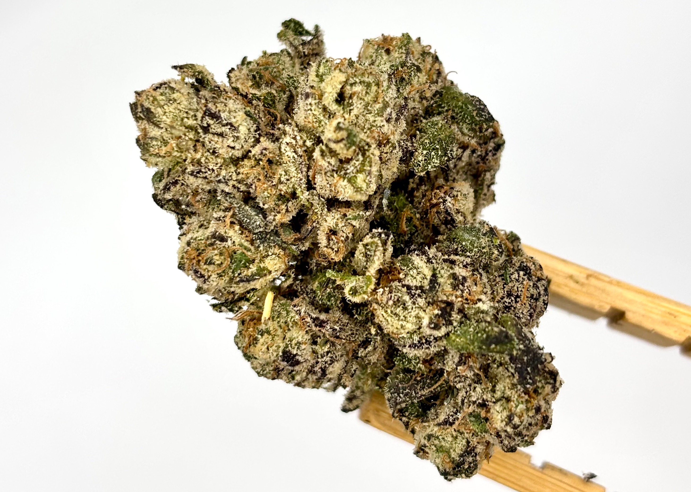 DogHouse | Party Animal | Bulk Flower | Platinum Tier