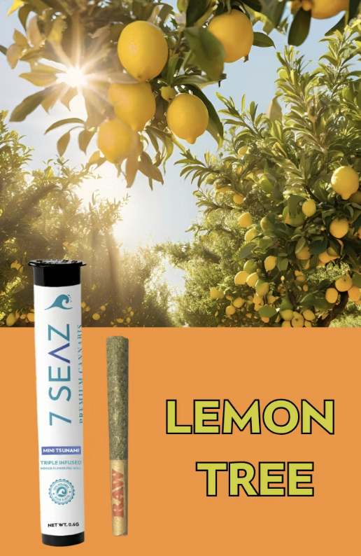 Infused Preroll Mini Tsunami Lemon
