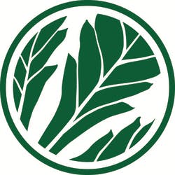 Hawaiian Ethos