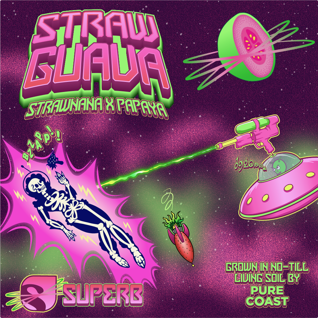 Superb | Strawguava | Live Rosin | 5g