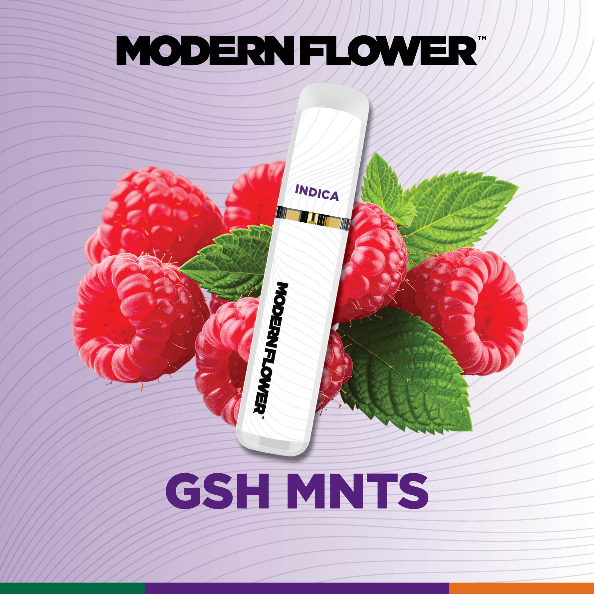 GSH MNTS Live Sauce All In One 1g